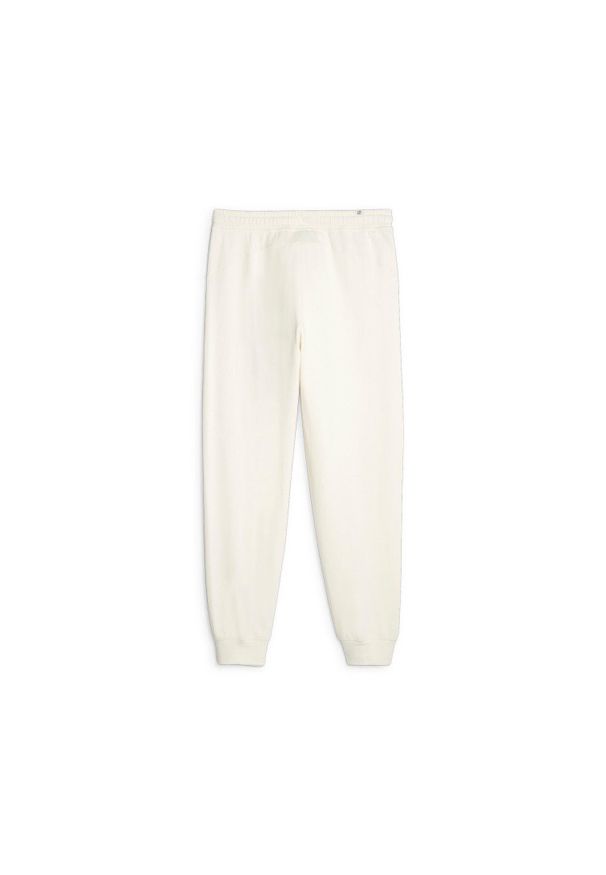 Puma Spodnie Better Sportswear Tr Cl 67606999. Kolor: beżowy. Długość: długie. Sport: turystyka piesza