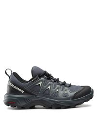 salomon - Salomon Trekkingi X Braze GORE-TEX L47180800 Niebieski. Kolor: niebieski #1