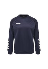 Bluza do piłki ręcznej dla dzieci Hummel Promo Kids Poly Sweatshirt. Kolor: niebieski. Sport: piłka ręczna #1