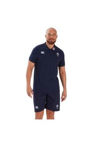 CANTERBURY - Polo Irlande Team 2023. Typ kołnierza: polo. Kolor: niebieski, szary, wielokolorowy. Materiał: bawełna. Styl: elegancki