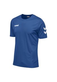 Koszulka z krótkim rękawem sportowa męska Hummel Core Polyester Tee. Kolor: niebieski. Długość rękawa: krótki rękaw. Długość: krótkie