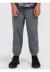 4f - 4F Spodnie sportowe szybkoschnące joggery chłopięce - szare 134/140 (8-10 lat). Kolor: szary. Materiał: dzianina, skóra. Długość: długie. Sezon: lato #2
