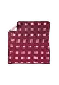 Modini - Bordowa poszetka w kropki EC20. Kolor: czerwony. Materiał: żakard, tkanina. Wzór: kropki #1