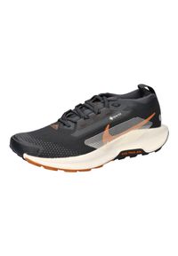 Buty do biegania męskie Nike Pegasus. Kolor: czarny. Sport: bieganie