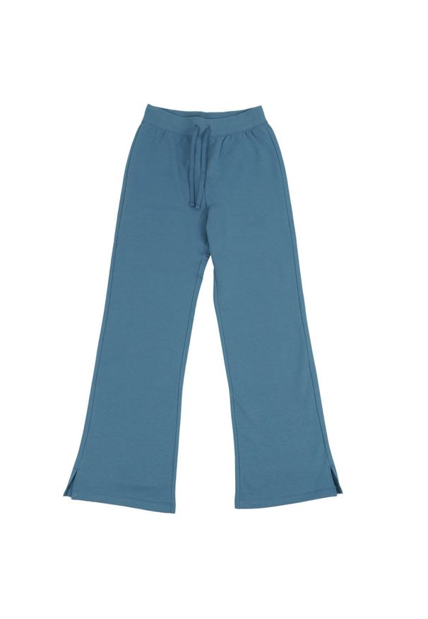 Champion - Spodnie Do Joggingu Damskie Szeroka KK001. Kolor: niebieski. Długość: długie. Sport: bieganie