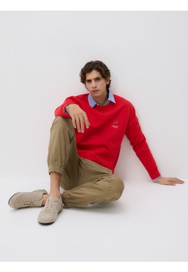 Reserved - Bluza regular z bawełną - czerwony. Kolor: czerwony. Materiał: bawełna