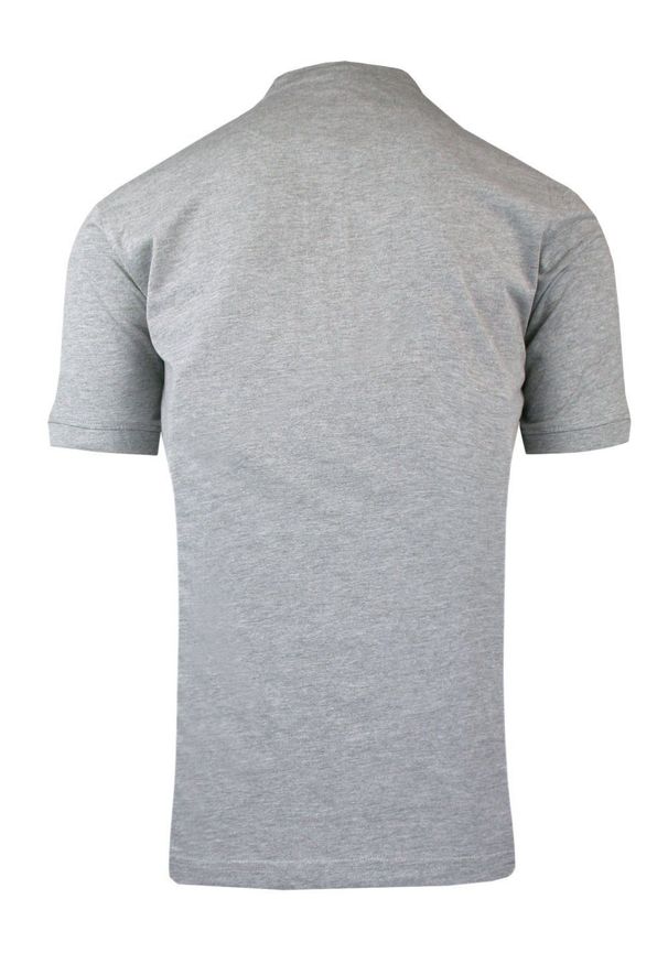 Męski T-Shirt na Stójce - Brave Soul - Popielaty. Okazja: na co dzień. Typ kołnierza: kołnierzyk stójkowy. Kolor: szary. Materiał: bawełna. Sezon: lato, wiosna. Styl: casual