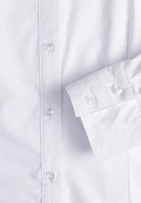 Renee - Biała Klasyczna Koszula Zapinana na Guziki Vikria. Okazja: na co dzień, na randkę. Kolor: biały. Materiał: jeans. Długość rękawa: długi rękaw. Długość: długie. Wzór: aplikacja. Styl: klasyczny #8