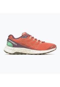 Buty do biegania męskie Merrell Fly Strike. Kolor: pomarańczowy, wielokolorowy, żółty