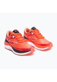 Buty do biegania męskie Joma Shock. Kolor: brązowy. Sport: bieganie