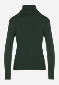 Born2be - Ciemnozielony Klasyczny Golf z Bawełną Reilisea. Okazja: na co dzień. Typ kołnierza: golf. Kolor: zielony. Materiał: bawełna. Styl: klasyczny #7