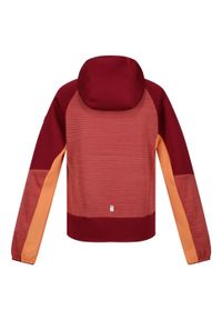 Regatta - Kurtka Softshellowa Dziecięca Z Kapturem Prenton II. Typ kołnierza: kaptur. Kolor: czerwony. Materiał: softshell. Styl: sportowy #2