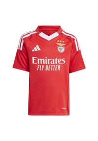 Adidas - Dziecięcy zestaw koszulka domowa i spodenki Benfica Lisbonne 2024/25. Okazja: do domu. Kolor: czerwony. Styl: młodzieżowy