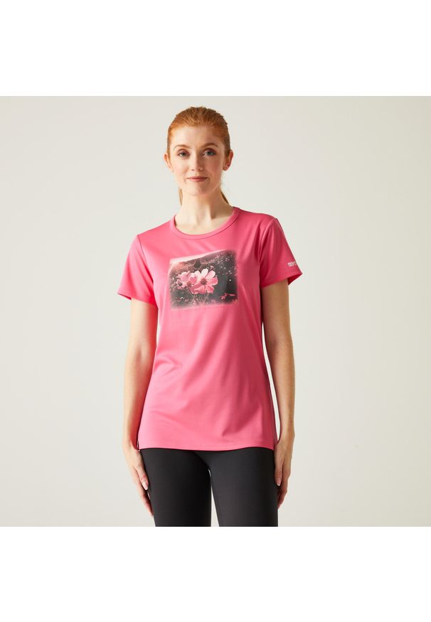 Regatta - Fingal VIII damska koszulka. Kolor: różowy. Materiał: tkanina. Sport: turystyka piesza