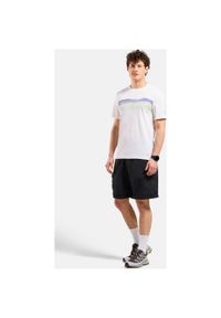 Koszulka męska z krótkim rękawem Odlo F-DRY RIDGELINE T-shirt. Kolor: biały. Długość rękawa: krótki rękaw. Długość: krótkie. Sport: turystyka piesza