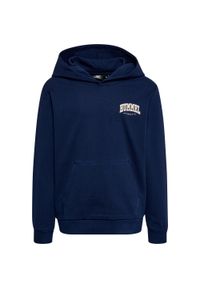 Bluza z kapturem dla dzieci Hummel Fast. Typ kołnierza: kaptur. Kolor: niebieski