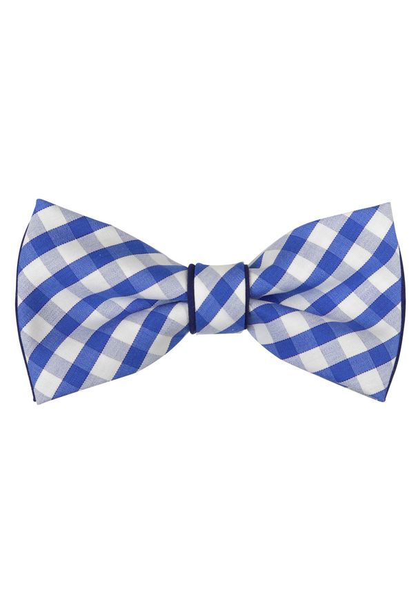 Modini - Szeroka mucha w biało-niebieską kratkę A15. Kolor: biały, wielokolorowy, niebieski. Materiał: mikrofibra, poliester, tkanina. Wzór: kratka. Styl: elegancki