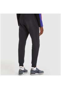 Diadora - Spodnie dresowe męskie DIADORA PANT ICON. Kolor: czarny. Materiał: dresówka