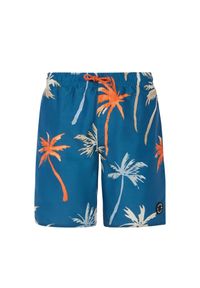 Spodenki kąpielowe dla dzieci Protest Brandon. Kolor: niebieski #1