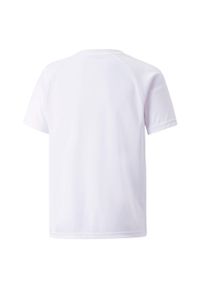 Koszulka dziecięca Puma Team Liga Striped. Kolor: biały, wielokolorowy, czarny