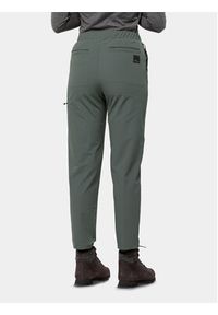 Jack Wolfskin Spodnie outdoor Wandermood Pants 1508441 Zielony Regular Fit. Kolor: zielony. Materiał: syntetyk. Sport: outdoor