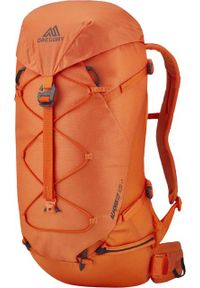 Plecak turystyczny Gregory Alpinisto LT S/M 28 l Pomarańczowy. Kolor: pomarańczowy #1