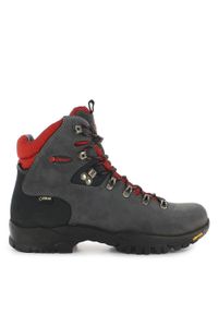 Buty trekkingowe Chiruca Dynamic 05 Goret-Tex. Kolor: czerwony, szary, wielokolorowy, czarny. Materiał: nubuk. Styl: sportowy. Sport: turystyka piesza #1