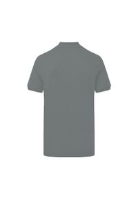 SG - Męska Koszulka Polo Signature Stretch Bez Metki. Typ kołnierza: polo. Kolor: szary