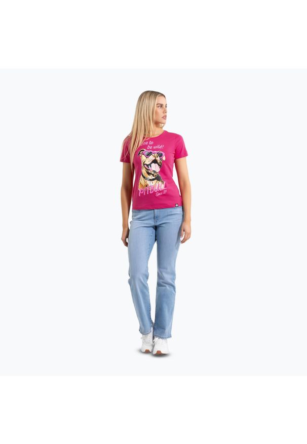PITBULL - Koszulka damska Pitbull Synglasses Dog. Kolor: różowy