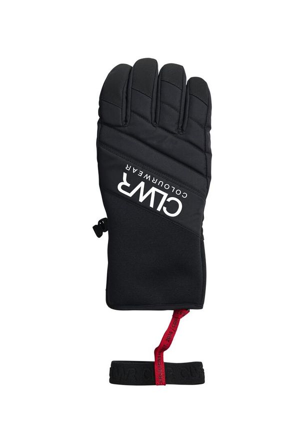 Rękawice pięciopalczaste Colourwear Powder. Kolor: czarny. Sezon: zima. Sport: narciarstwo