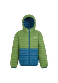 Regatta - Kurtka dziecięca Hillpack II. Typ kołnierza: kaptur. Kolor: zielony. Materiał: puch. Styl: sportowy #1