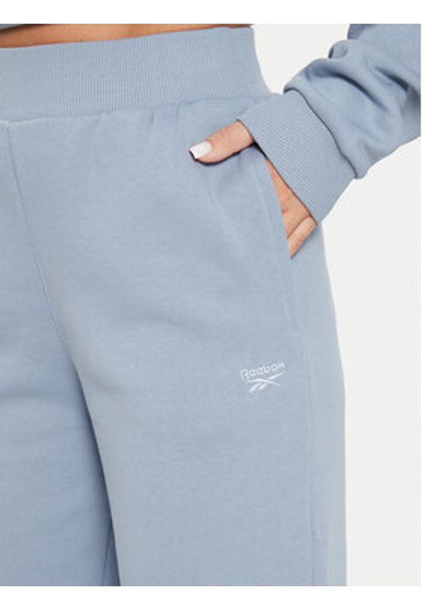 Reebok Spodnie dresowe Fleece Pant 100076053 Niebieski Regular Fit. Kolor: niebieski. Materiał: bawełna, syntetyk