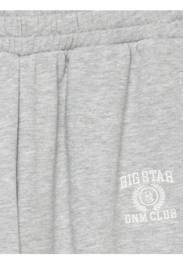 Big-Star - Spodnie dziewczęce dresowe jasnoszare Monara 901. Okazja: na co dzień. Kolor: szary. Materiał: dresówka. Wzór: aplikacja, haft. Styl: sportowy, casual, młodzieżowy