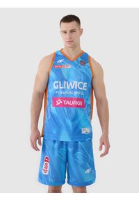 4f - 4F Koszulka meczowa replika wyjazdowa z sezonu 2024/25 męska 4F x PLK - GTK Gliwice - multikolor 3XL. Typ kołnierza: dekolt w serek. Kolor: wielokolorowy. Materiał: dzianina, włókno, materiał, syntetyk. Wzór: nadruk, gładki, ze splotem. Sport: koszykówka, fitness #1