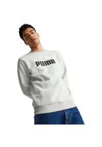 Bluza sportowa męska Puma ESS+ 2 Col Big Logo Crew FL. Kolor: szary