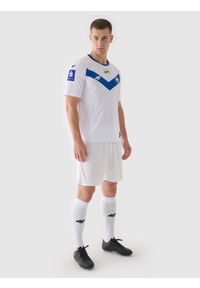 4f - 4F Koszulka klubowa wyjazdowa z sezonu 2024/25 męska 4F x Stal Mielec - multikolor XL. Okazja: do domu, na urodziny. Kolor: wielokolorowy. Materiał: dzianina