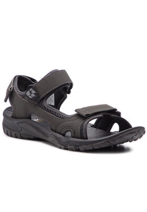 Jack Wolfskin Sandały Lakewood Cruise Sandal M 409011 Szary. Kolor: szary. Materiał: skóra