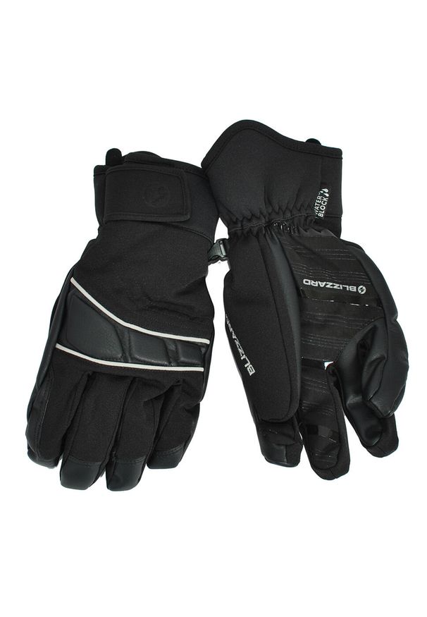 BLIZZARD - Męskie rękawice narciarskie Blizzard Profi. Kolor: czarny. Sezon: zima. Sport: narciarstwo