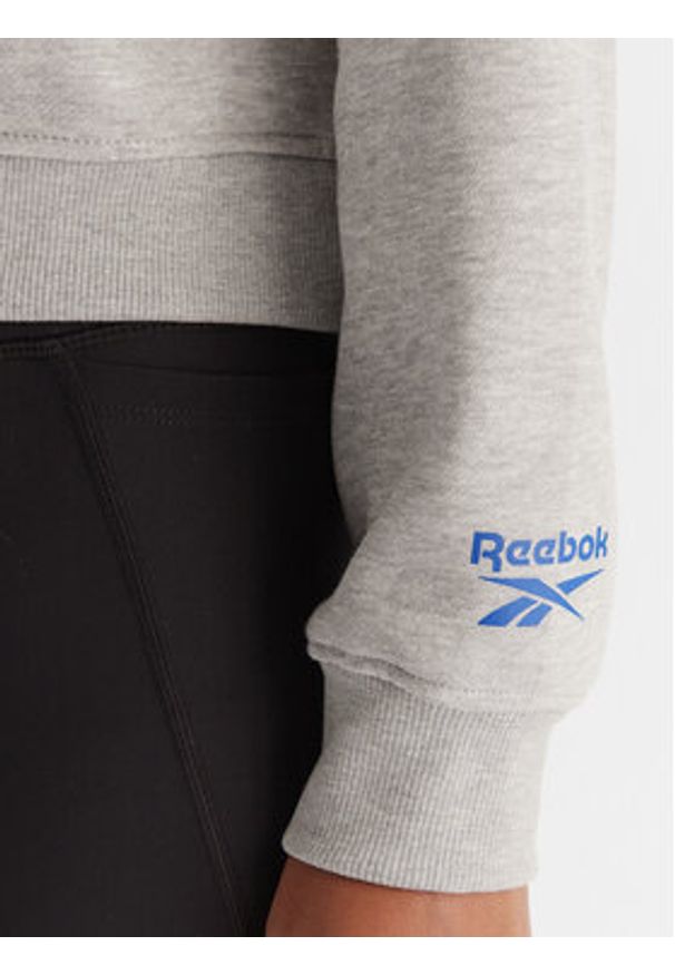Reebok Bluza Jazz RK25170CCW Szary Regular Fit. Kolor: szary. Materiał: syntetyk, bawełna