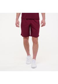 Spodenki fitness męskie Puma Active. Kolor: czerwony. Materiał: materiał. Sport: fitness