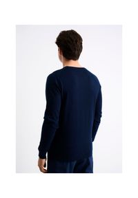 Ochnik - Sweter męski. Okazja: na co dzień. Kolor: niebieski. Materiał: wełna. Długość: długie. Wzór: paski. Styl: casual, klasyczny #3
