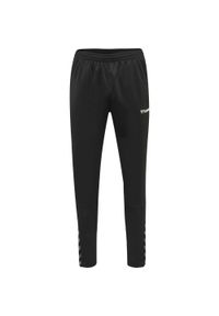 Spodnie dziecięce Hummel hmlAUTHENTIC Training. Kolor: wielokolorowy, biały, czarny. Sezon: zima. Sport: piłka nożna #1