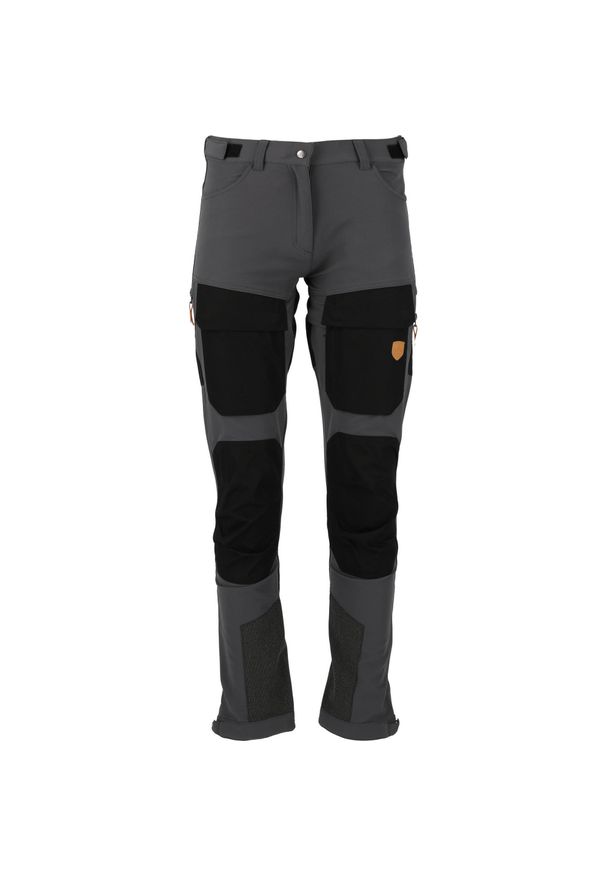 Spodnie turystyczne dla kobiet Whistler Anissy. Kolor: szary. Sezon: lato. Sport: turystyka piesza