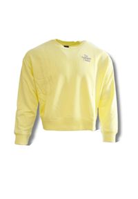 Bluza Damska New Balance Athletics IC Crewneck Sweatshirt 2 - WT13562-SAY. Kolor: żółty. Sport: koszykówka #1