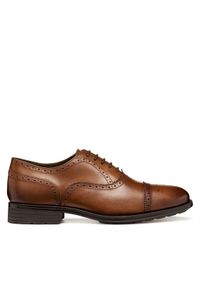 Geox Półbuty U Walk Pleasure F U46H8B 00043 C6610 Brązowy. Kolor: brązowy. Materiał: skóra