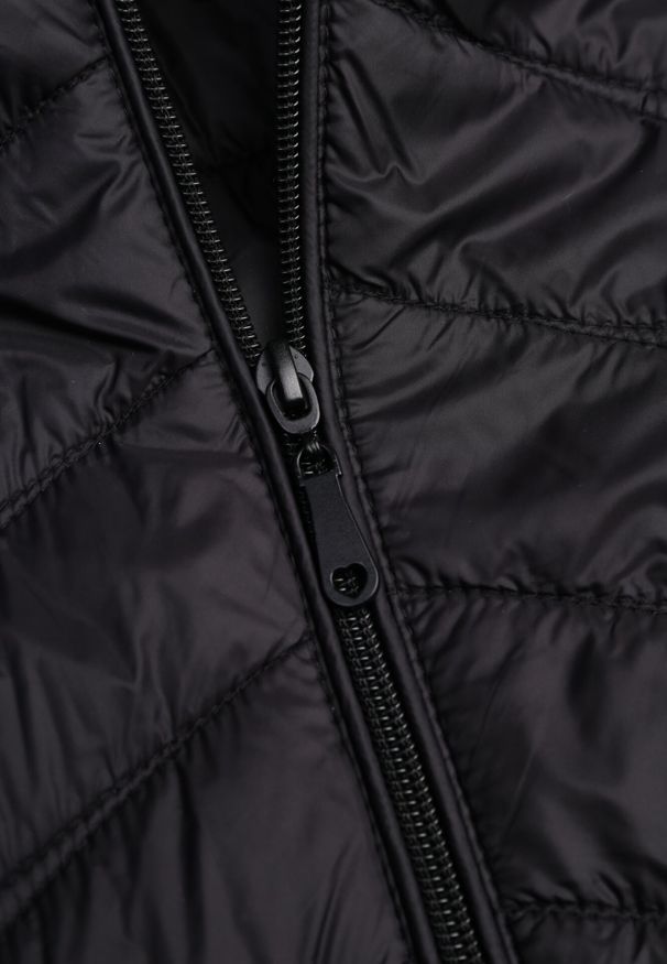 Born2be - Czarna Pikowana Kurtka Przejściowa z Kapturem o Taliowanym Kroju Lissanoria. Okazja: na co dzień, na spacer. Typ kołnierza: kaptur. Kolor: czarny. Materiał: jeans, poliester. Styl: casual