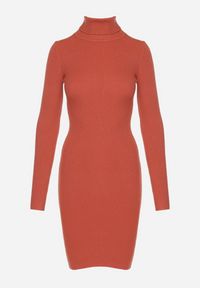 Born2be - Pomarańczowa Dopasowana Sukienka z Prążkowanej Dzianiny z Golfem Seralinda. Okazja: na co dzień. Typ kołnierza: golf. Kolor: pomarańczowy. Materiał: prążkowany, dzianina. Długość rękawa: długi rękaw. Styl: wizytowy, klasyczny, casual #3