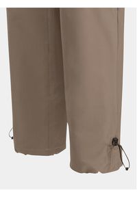 Jack Wolfskin Spodnie outdoor Kiebitzweg Pants 1508471 Brązowy Regular Fit. Kolor: brązowy. Materiał: syntetyk. Sport: outdoor