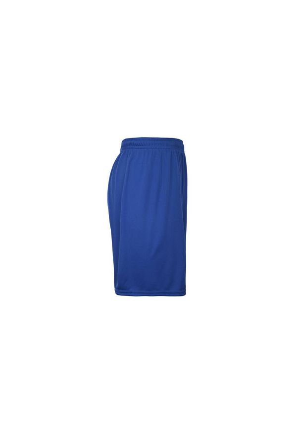 Szorty Kappa Borgo. Kolor: niebieski, wielokolorowy. Sport: fitness