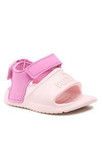 Sandały Puma Divecat V2 Injex Inf 369545 11 Chalk Pink/Opera Mauve. Kolor: różowy